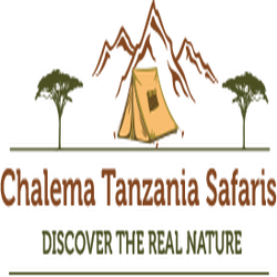Chalema Tanzania Safaris 